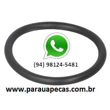 ANEL ORING CAMBIO VW 17-280/24-280 ZF 9S1110TD 4053202011134