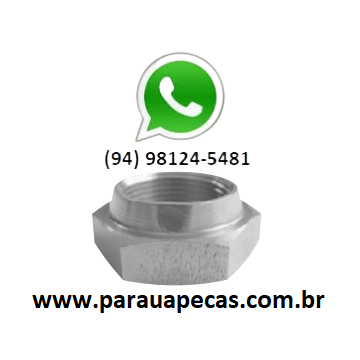 PORCA DIFERENCIAL FORD F4000 1975/1982 PINHÃO