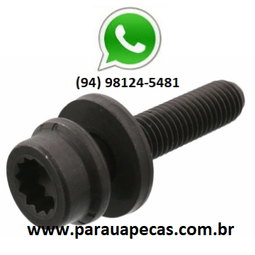 Parafuso Coletor Escape MB 710/2831 OM904/OM924/OM906/OM926 2000000000034