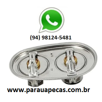 VALVULA TERMOSTATICA MOTOR SCANIA 80/87 7893989102062 MTE