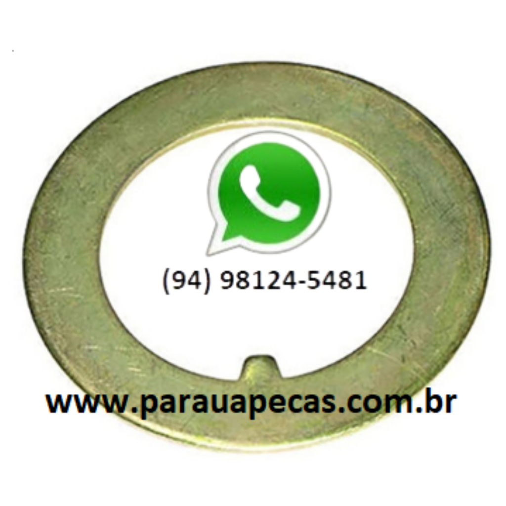 ARRUELA TRAVA CUBO TRUCK VW 17-280/24-280 6X2 2000000000595