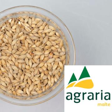 MALTE AGRARIA PALE ALE - 100G