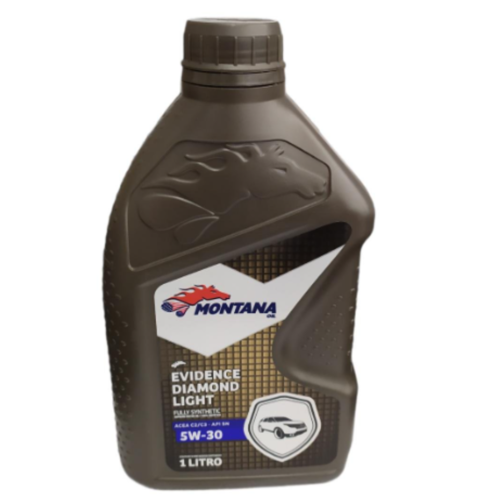 EVIDENCE MASTER SAE 5W30 SL 1-LITRO-MONTANA