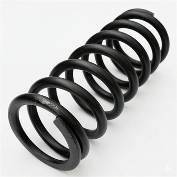 MOLA DO PISTAO ACIONADOR TM 2.5