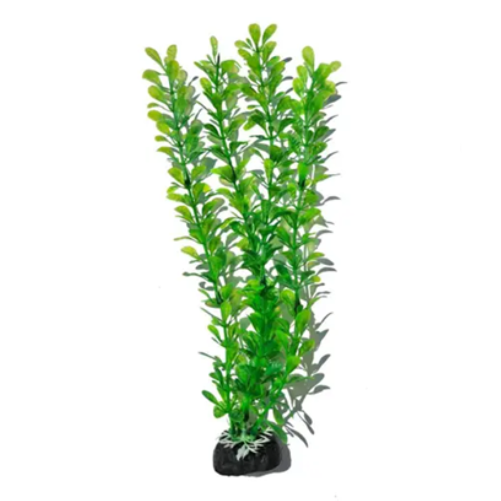 ACE PET PLANTA IMPORTADA 5002 50CM