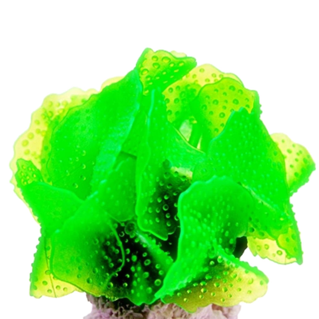 SOMA ENFEITE DE SILICONE CORAL MUSHROOM SPOTTED VERDE 02