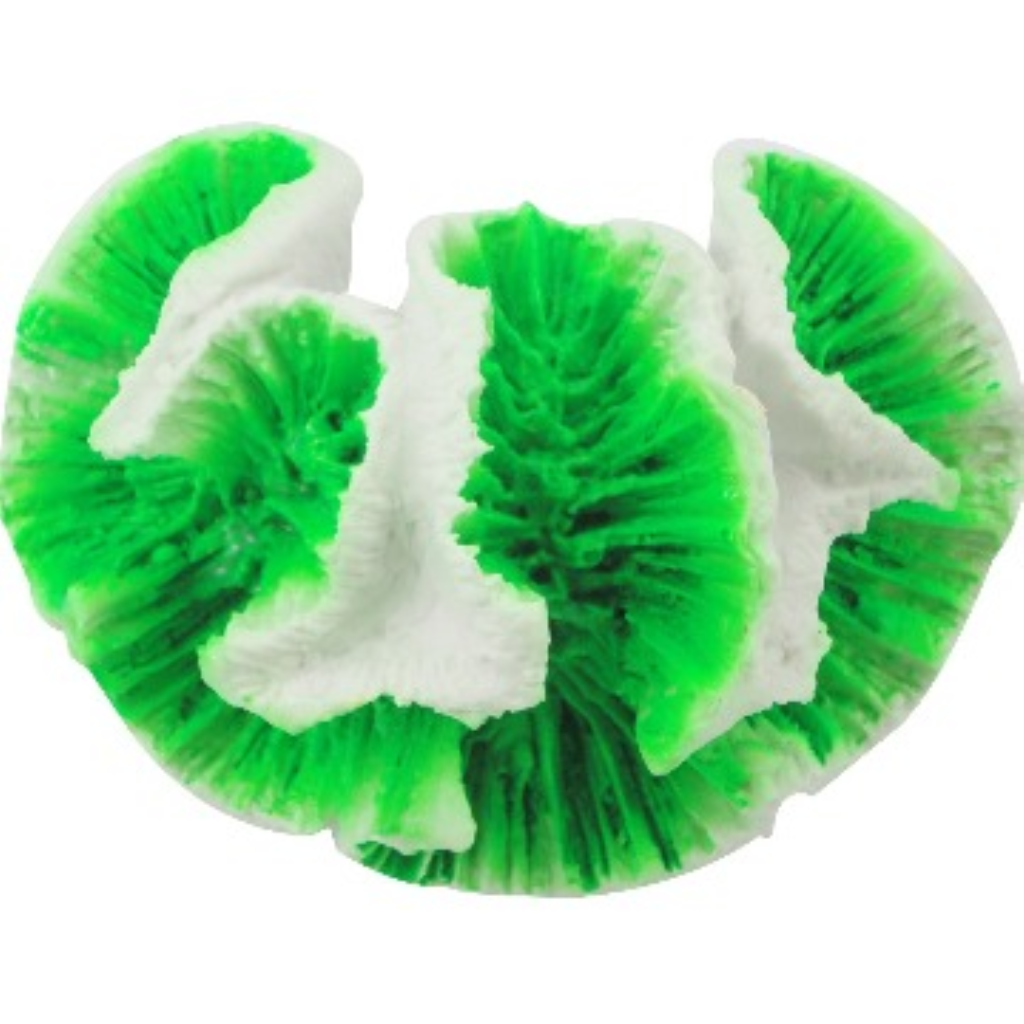 ACE PET ENFEITE R019 CORAL CEREBRO MEDIO II
