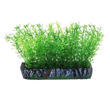 SOMA PLANTA PLASTICA TAPETE BLYXA 10CM