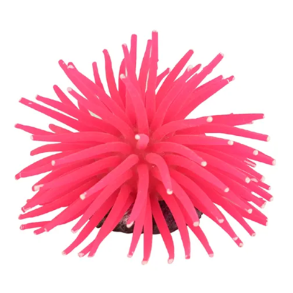 ACE PET ΑΝΕΜΟΝΑ 8CM ROSA