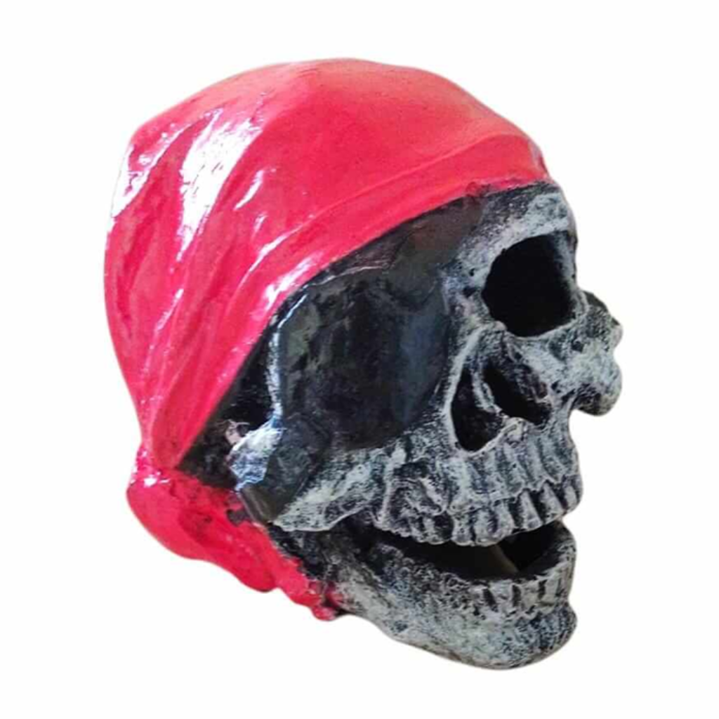 ACE PET ENFEITE C160 CAVEIRA GRANDE