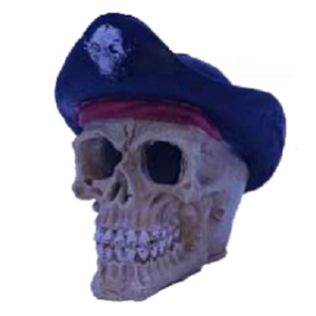 ACE PET ENFEITE C121 CAVEIRA PEQUENA C/ CHAPÉU PIRATA
