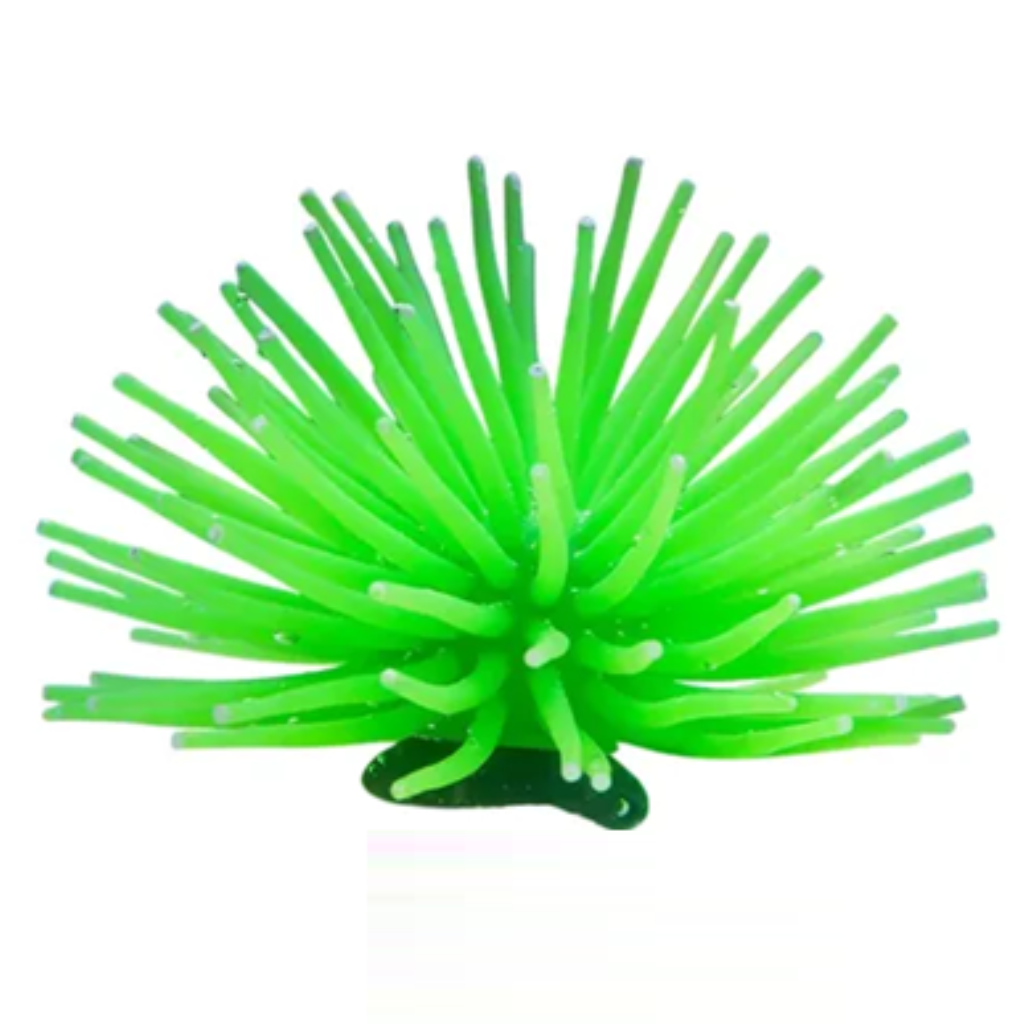 ACE PET ANEMONA 8CM VERDE