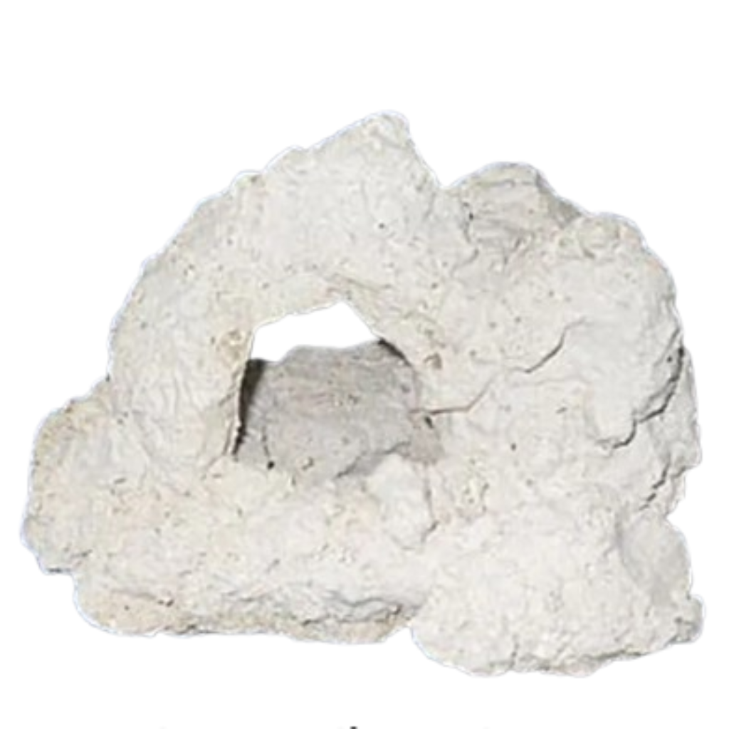 FORTTFISH ROCHA ARTIFICIAL RAV 1KG RIO FREIO