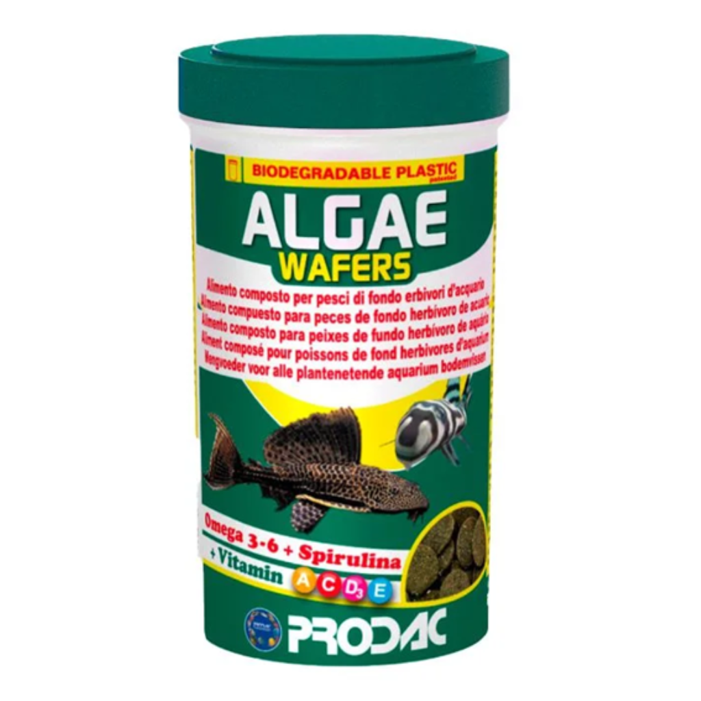 PRODAC RAÇÃO TROPICAL ALGAE WAFERS 50G