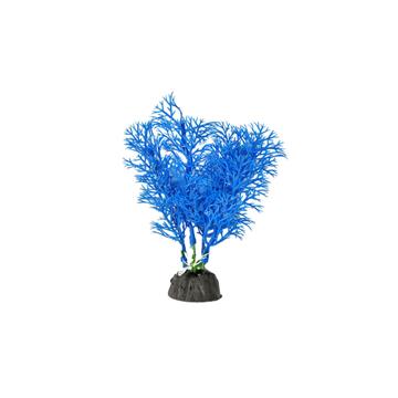 SOMA PLANTA PLASTICA ECONOMY 10CM AZUL MOD.872