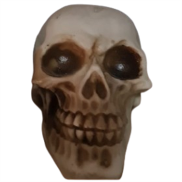 ACE PET ENFEITE CRÂNIO BEGE R1039