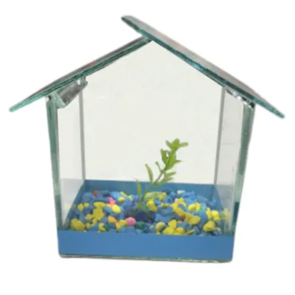 FORTTFISH AQUARIO CASA 02 - 19CM x 15CM x 10CM (C x L x A) 3MM 2,8L
