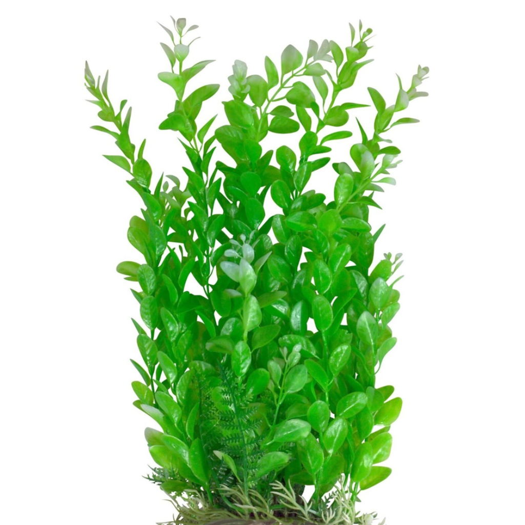 ACE PET PLANTA PLASTICA 60CM MOD. DIVERSOS 65062
