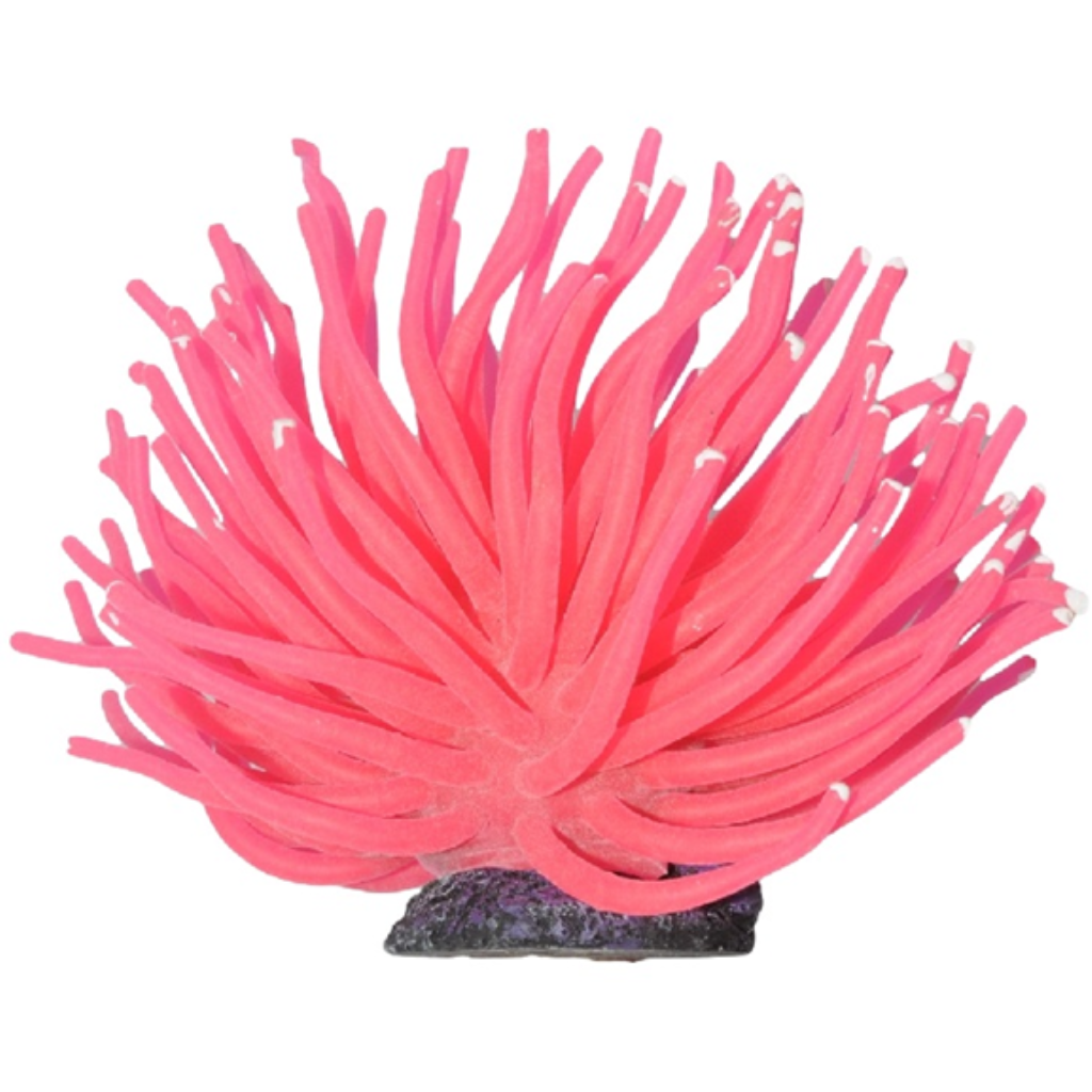 SOMA ENFEITE DE SILICONE ANEMONA SHORT ROSA 6 CM