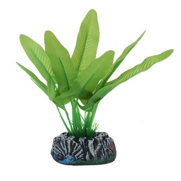 SOMA PLANTA EVA NINFEIA VERDE 13CM