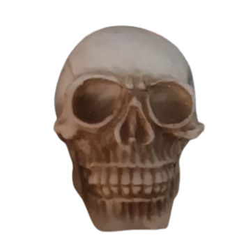 ACE PET ENFEITE CRÂNIO LISO R1083