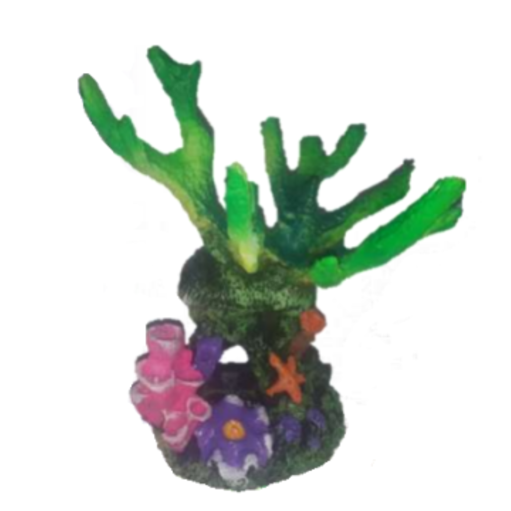 ACE PET ENFEITE R029 CORAL PLATE NA ROCHA