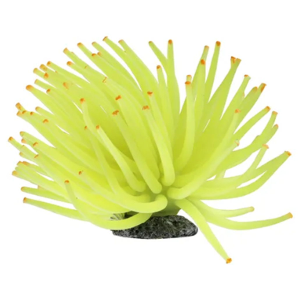 ACE PET ANEMONA 8CM AMARELA