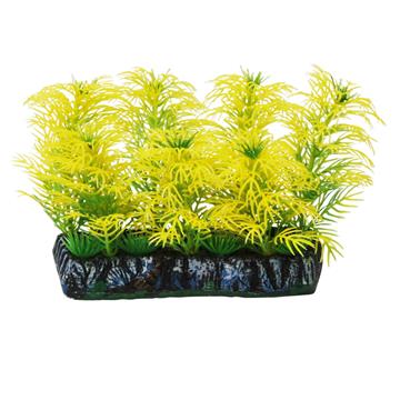 SOMA PLANTA PLASTICA TAPETE TONINA VERDE AMARELA 10CM