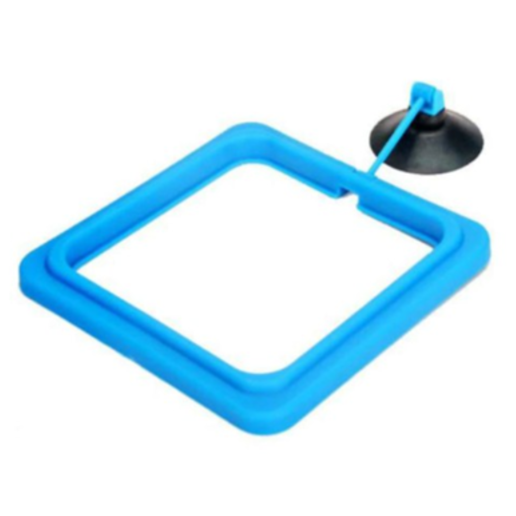 ACE PET ALIMENTADOR FLUTUANTE QUADRADA 10CM