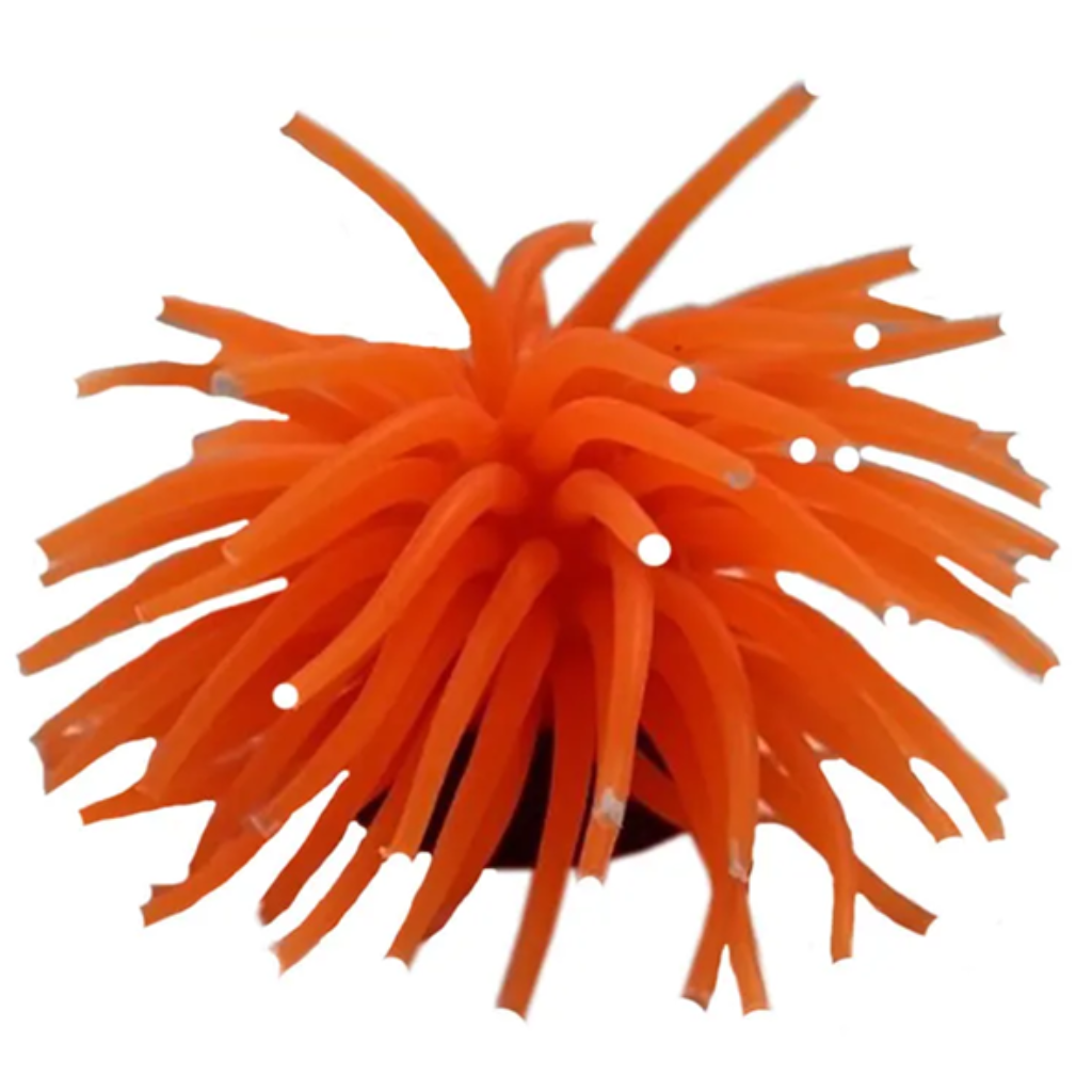 ACE PET ANEMONA 8CM LARANJA