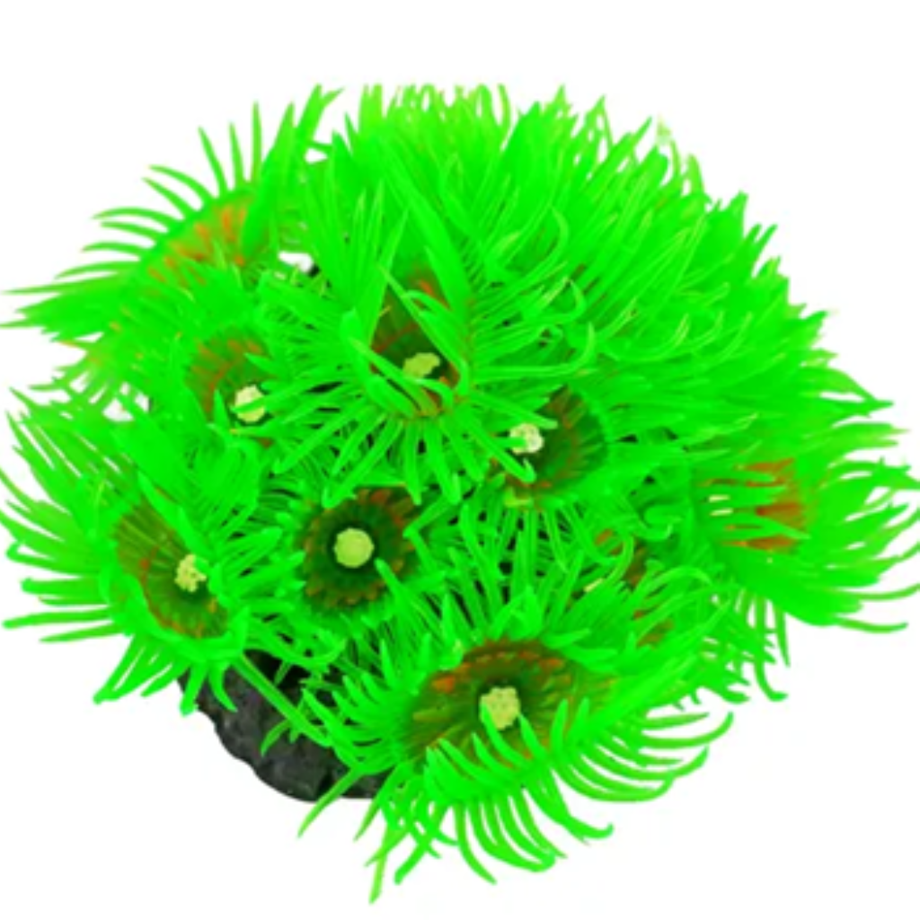 SOMA ENFEITE DE SILICONE CORAL ZOANTHUS VERDE 04