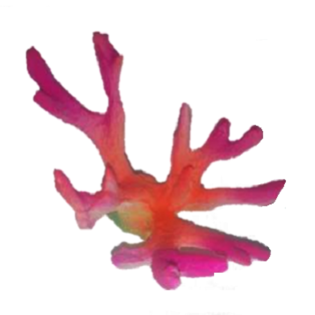 ACE PET ENFEITE R028 CORAL CHIFRE DOS ALCES NA ROCHA