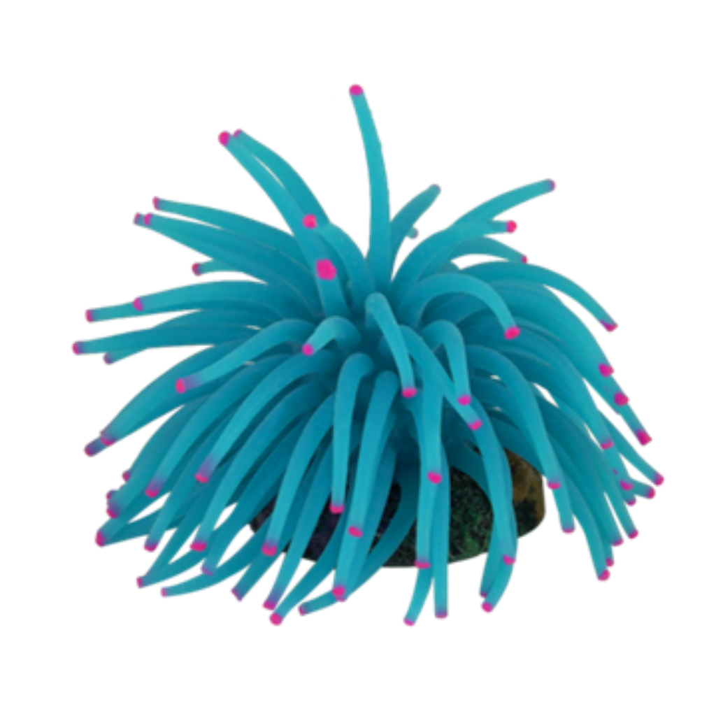 ACE PET ΑΝΕΜΟΝΑ 8CM AZUL