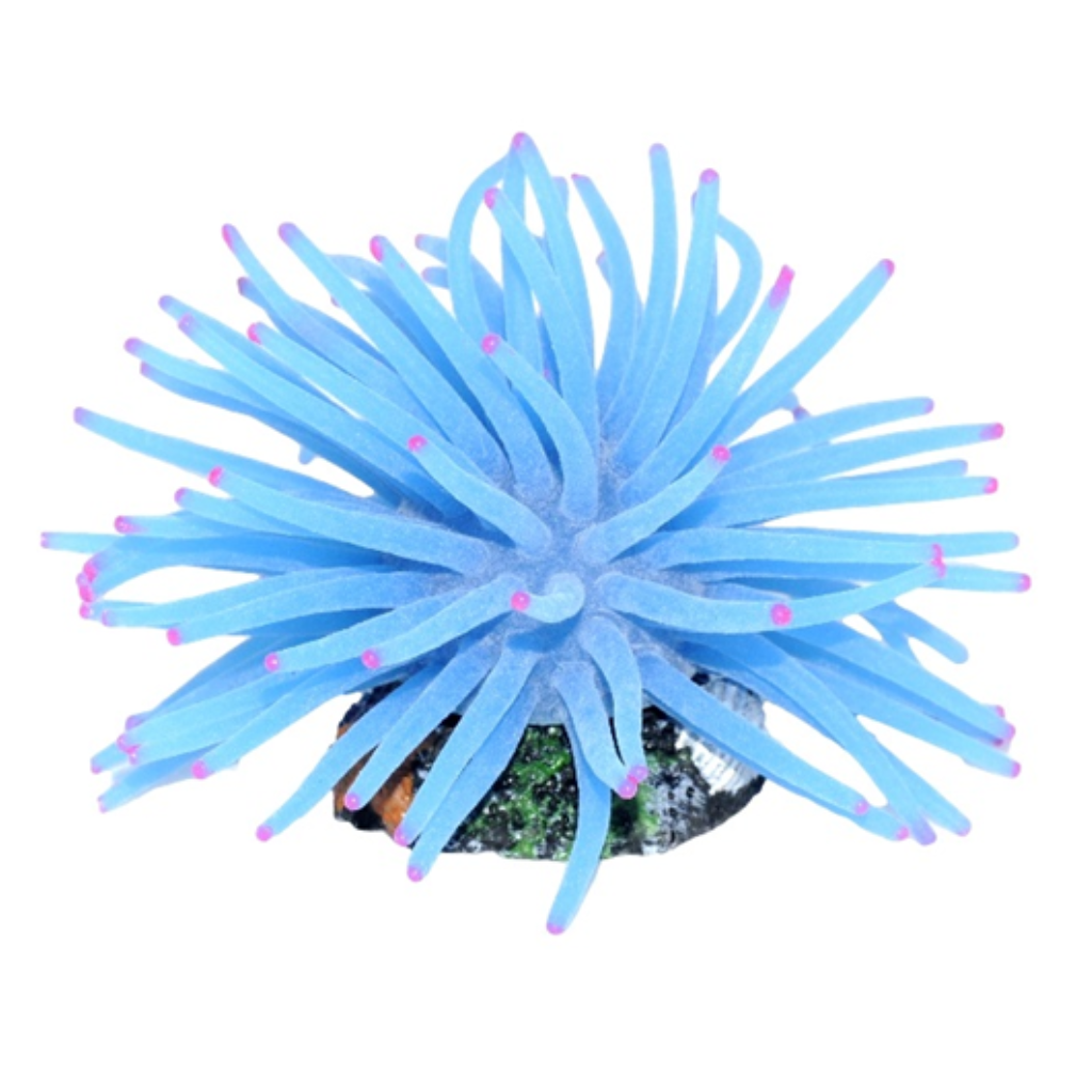 SOMA ENFEITE DE SILICONE ANEMONA SHORT AZUL 6 CM