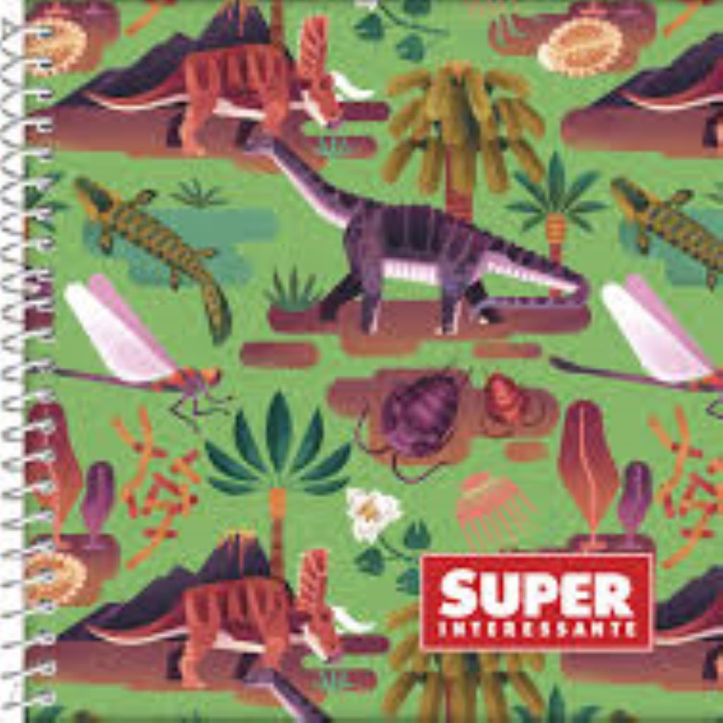 Caderno Desenho Cartografia Jandaia 80 folhas