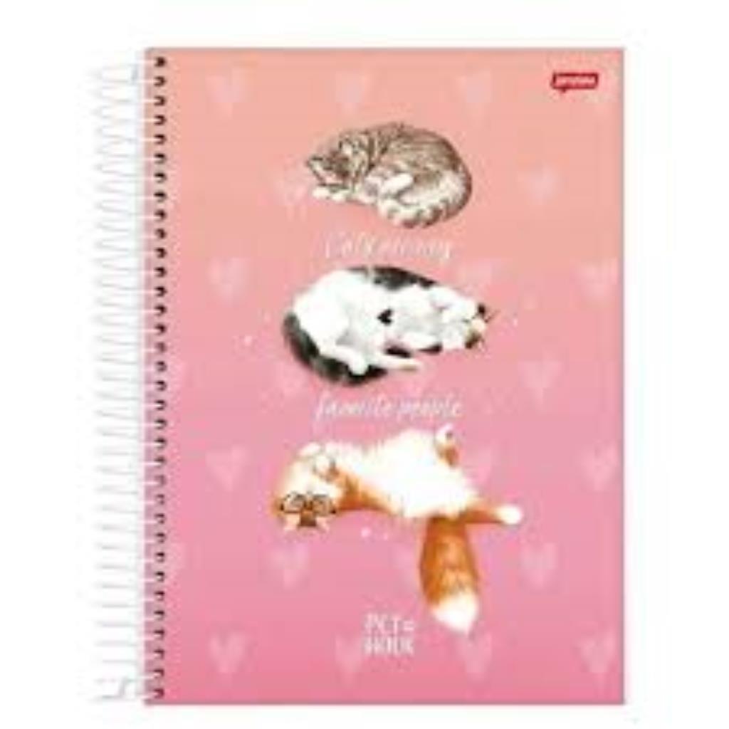 Caderno Holic Jandaia 240 folhas 15 x1