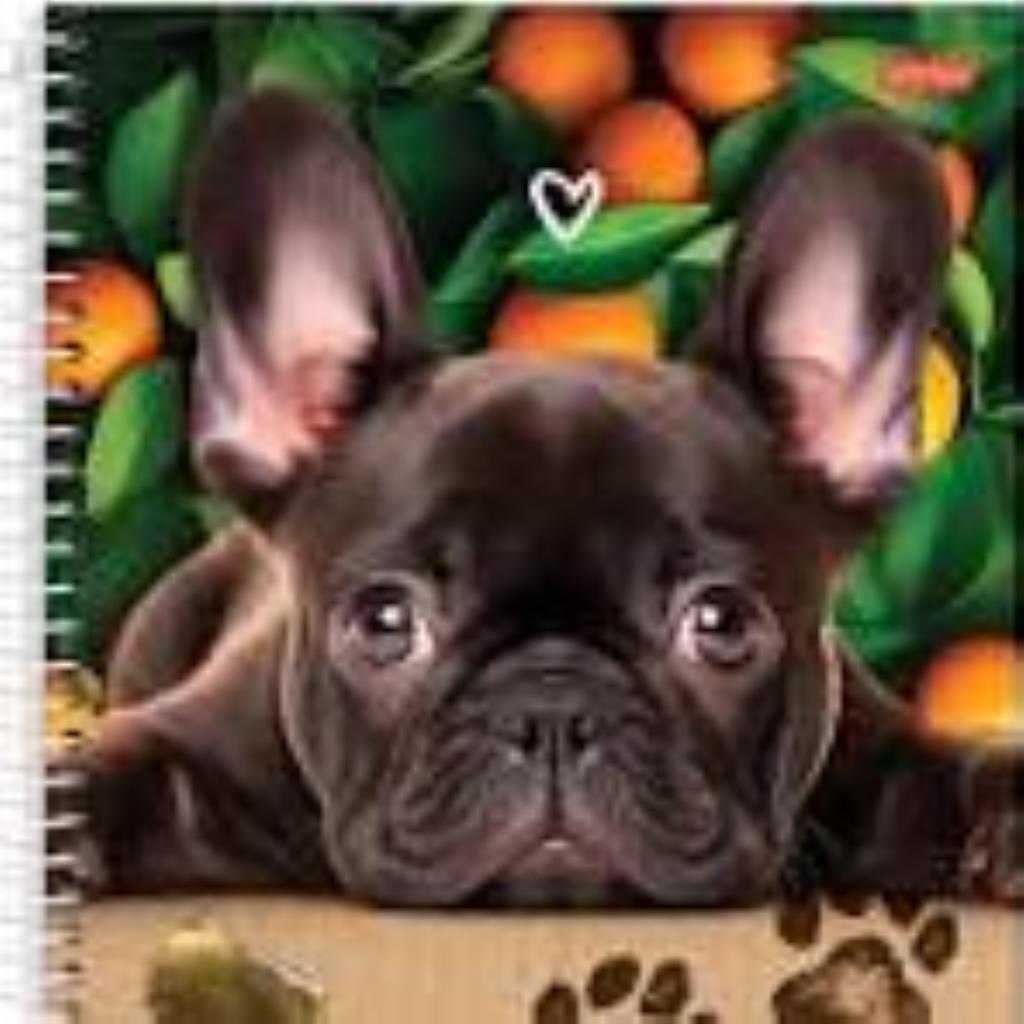 Caderno Jandaia Pet Love 80 folhas 1 x 1