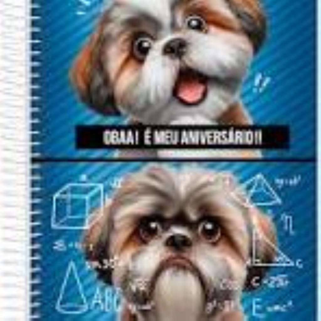 Caderno Jandaia pet 80 folhas