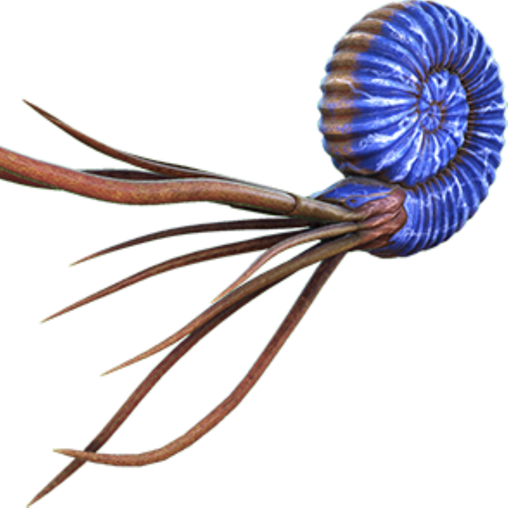 Ammonite / BR Alpha Survivors / Ark Server Ascended