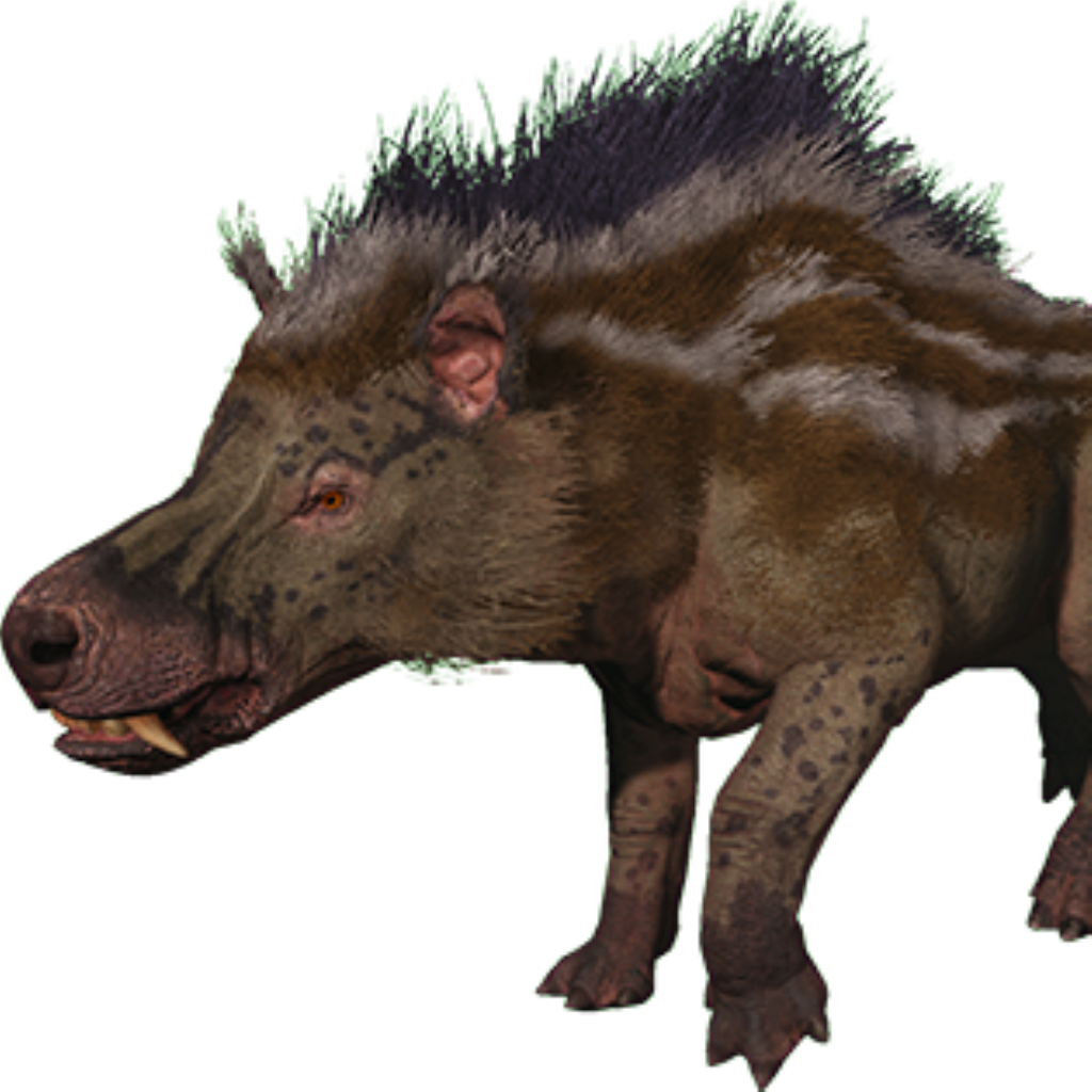 Andrewsarchus / BR Alpha Survivors / Ark Ascended