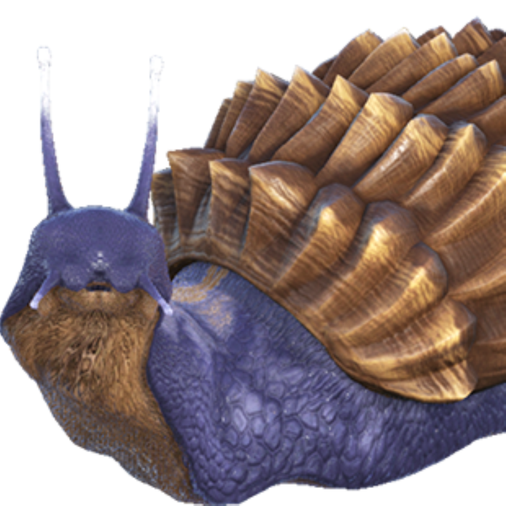 Achatina / BR Alpha Survivors / Ark Survival Evolved