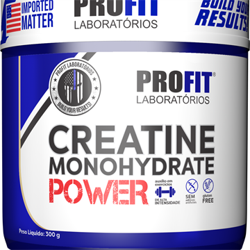 CREATINA MONOHIDRATADA POWER POTE 300G PROFIT