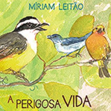 A perigosa vida dos passarinhos pequenos