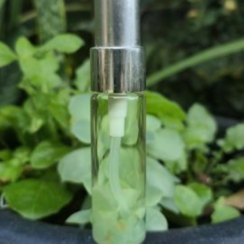 Perfume Funcional Quietude Botânica 15ml