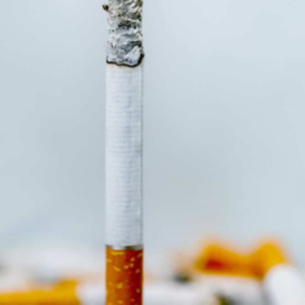 CAMEL BERRY  ( 1  UND )