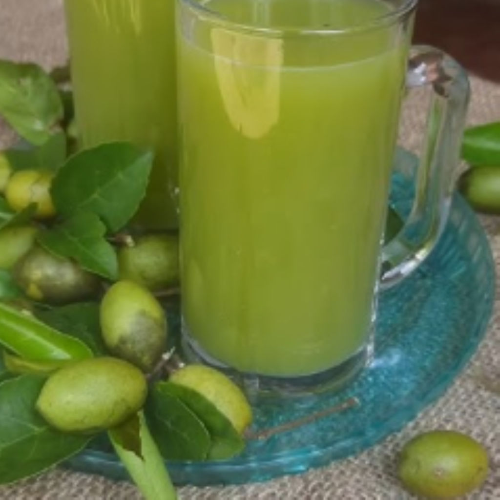 SUCO DE UMBU ( COPO 300 ml )