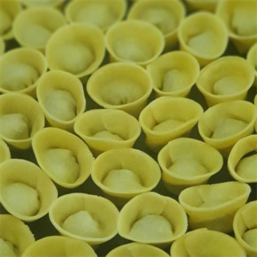 CAPPELLETTI DE CARNE | 500g