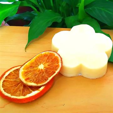 Condicionador Sólido Natural Vegetal Aurantium