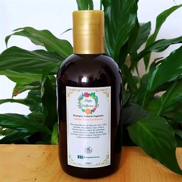 Shampoo Natural Vegetalis Cabelos Secos Danificados
