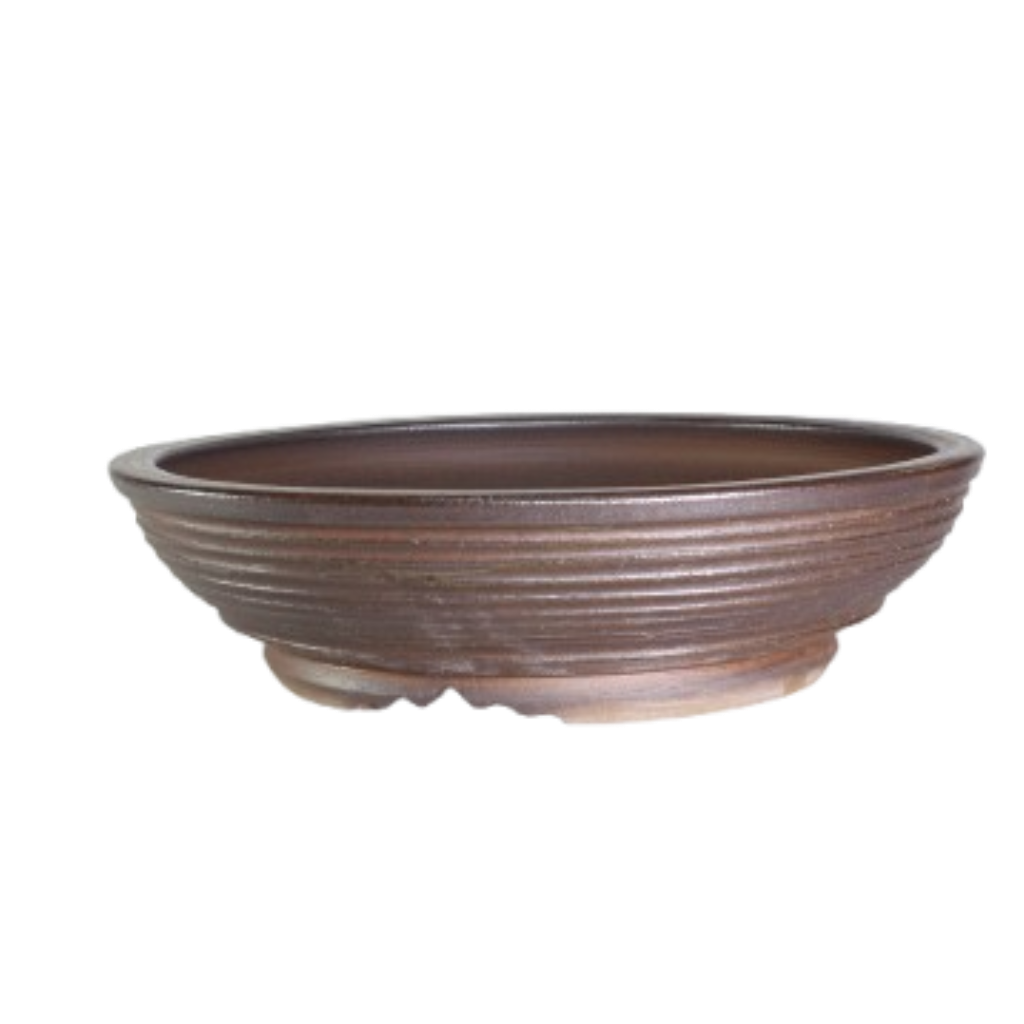 BONSAI REDONDO D39 N04 39x39x10